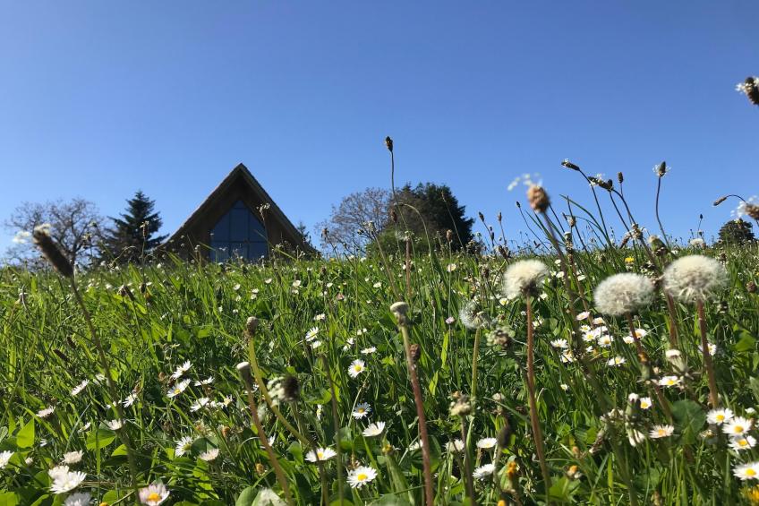 The Grange - foto 26