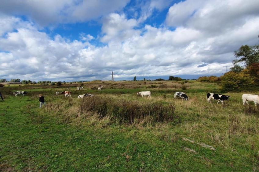 Vakantiepark 't Broeckhuys 6 - foto 21