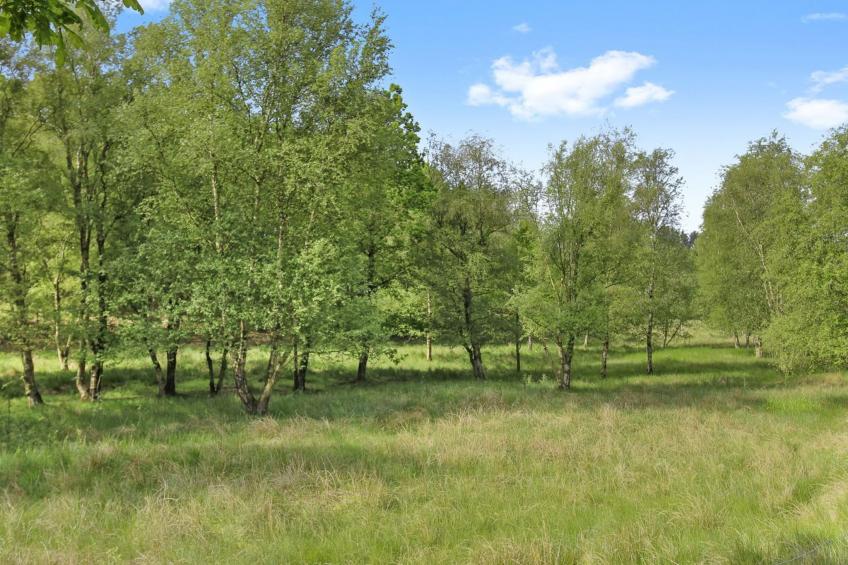 "Terese" - 45km from the sea in Western Jutland - foto 23