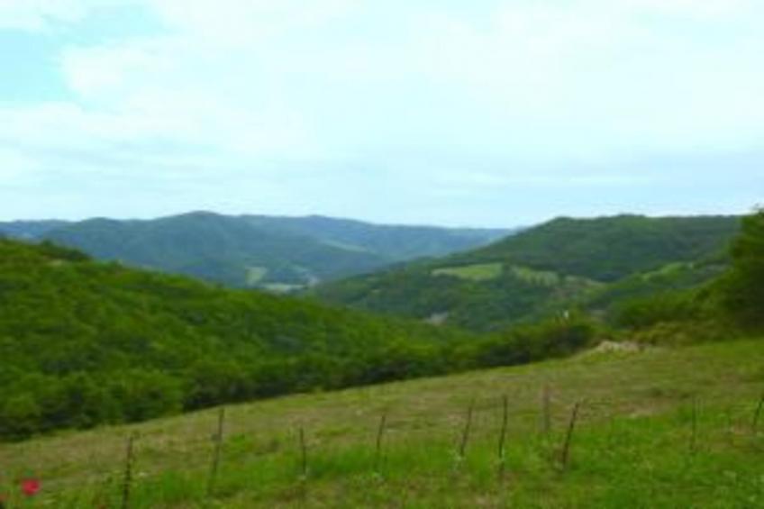 Calfattore Duchessa - foto 20