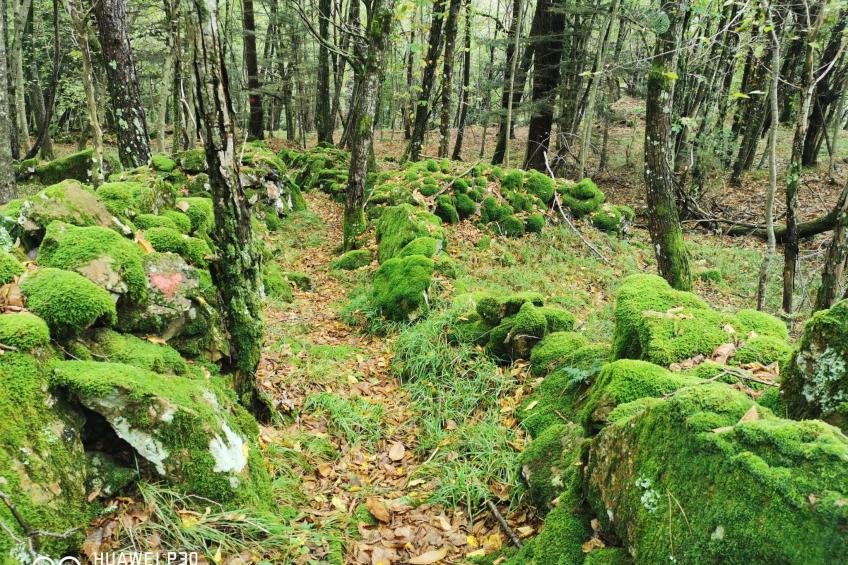 Chalet 'Perle des Höhenweges' - foto 21