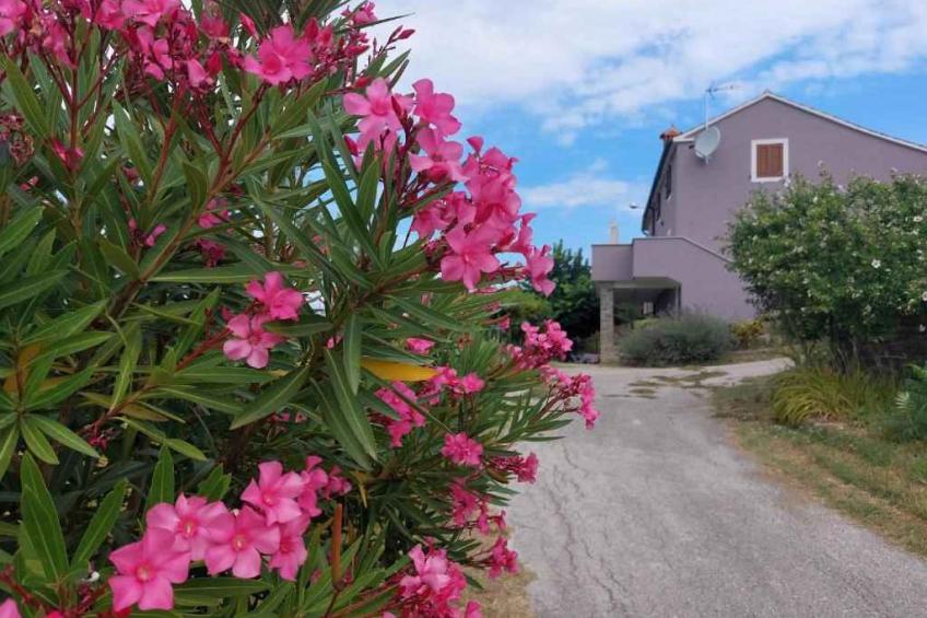 Vakantiewoning met balkon en panorama uitzicht - BF-YPFN7 - foto 4