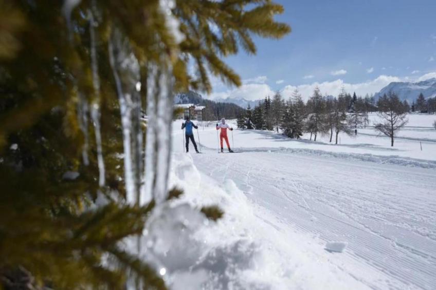 Chalet Rivendell - foto 22