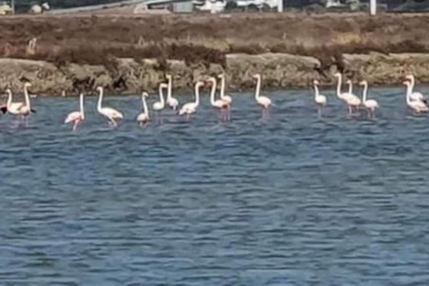 Precioso apartamento en San Fernando - foto 21