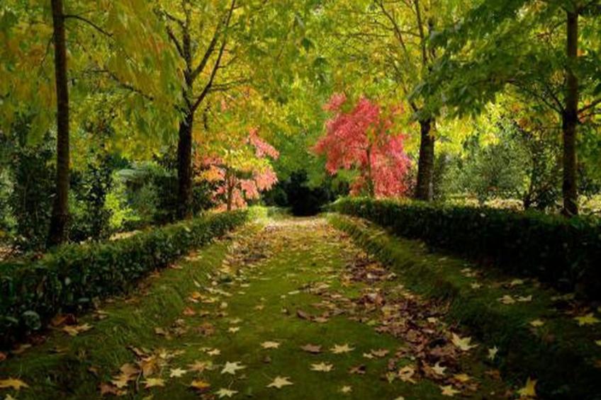 Haus der Stille - foto 34