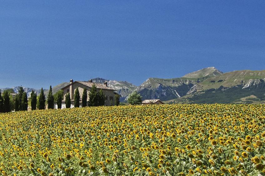 Il Casolare e il Fienile - foto 62