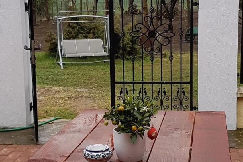 in Lócs mit Privatem Pool - foto 23