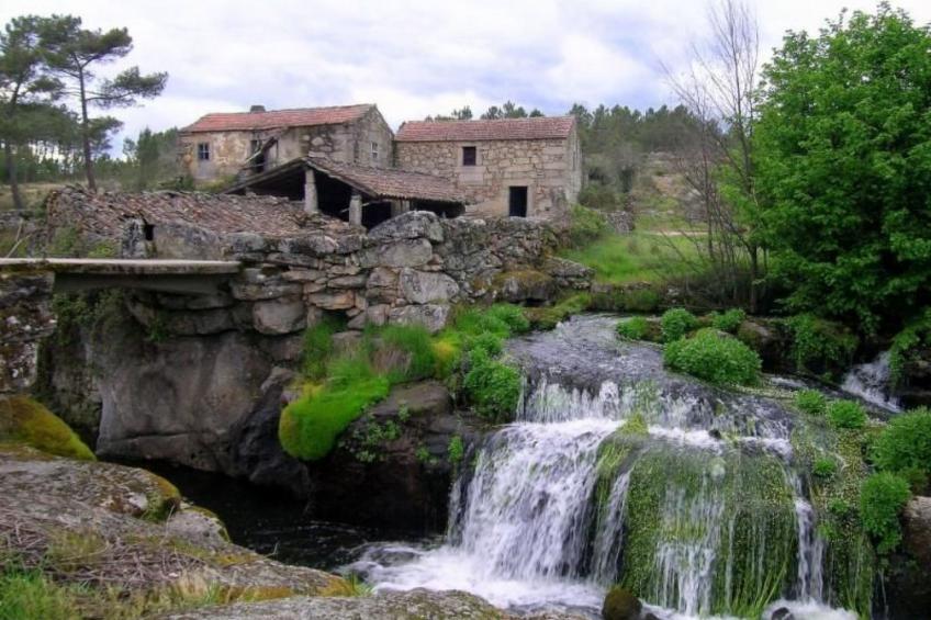Ferien auf dem Bauernhof mit Weinberg - foto 25