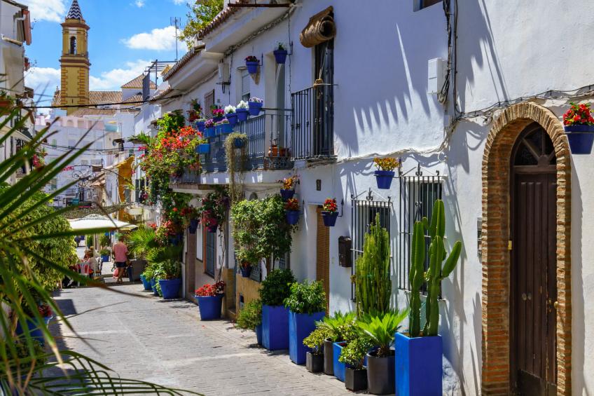 La perla del Cortijo - foto 34