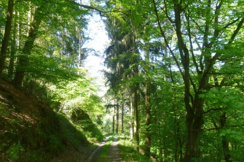 Moselschiefer-Traumferienwohnung am Moselufer - foto 23