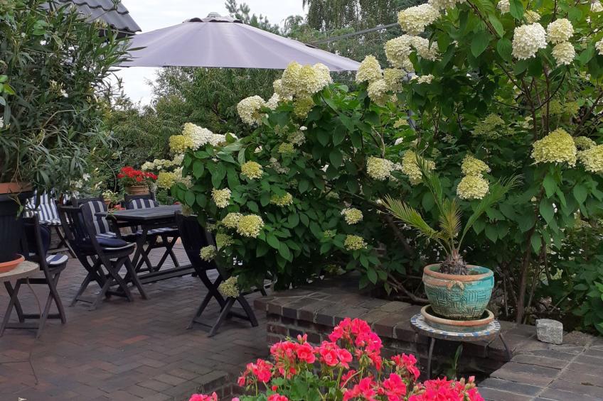 in ruhiger Lage am Waldrand - foto 24