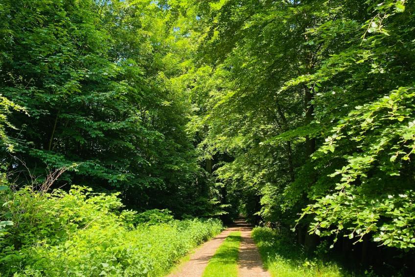 Freistehendes Friesenhaus Heimathafen - foto 18