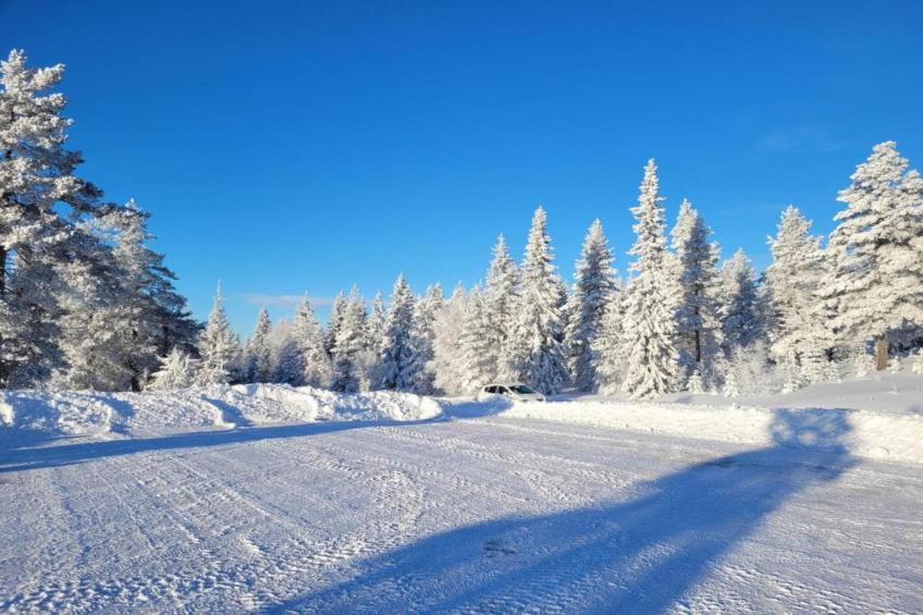 Letafors Herrgård - foto 40