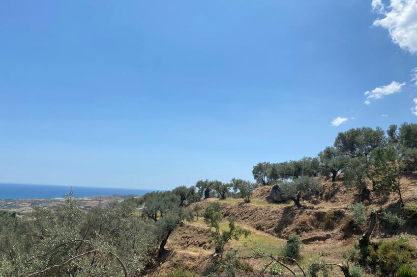 Großes Studio mit Terrasse mit Meerblick - foto 33