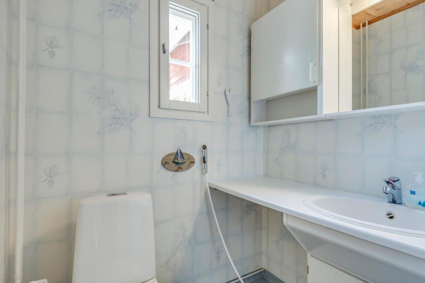 Villa pääsky - foto 30