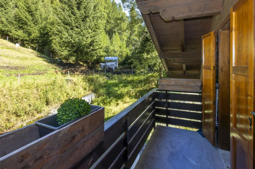 Nordic Nest - foto 24