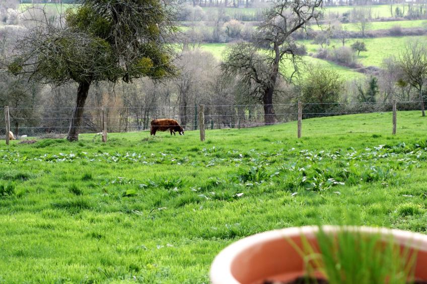 Les écuries de Callenville - foto 31