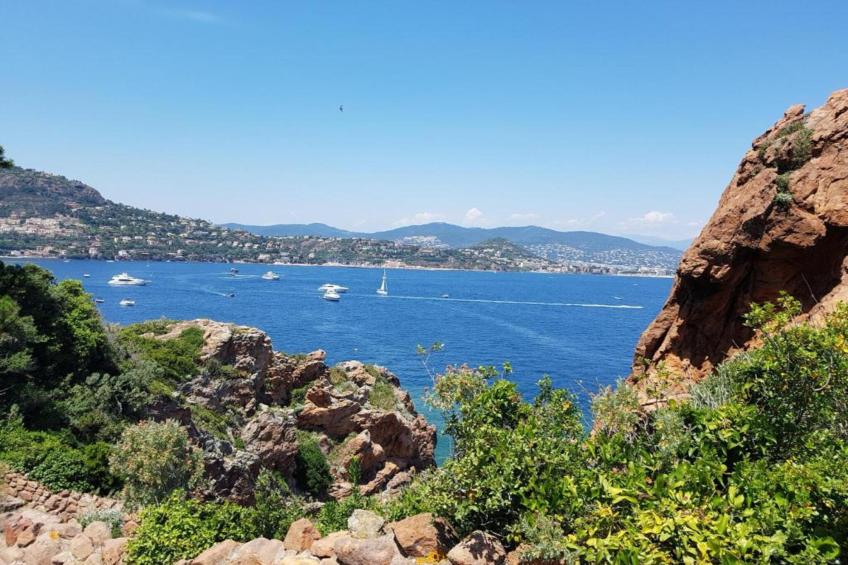 Appartement - MONTAUROUX - foto 37