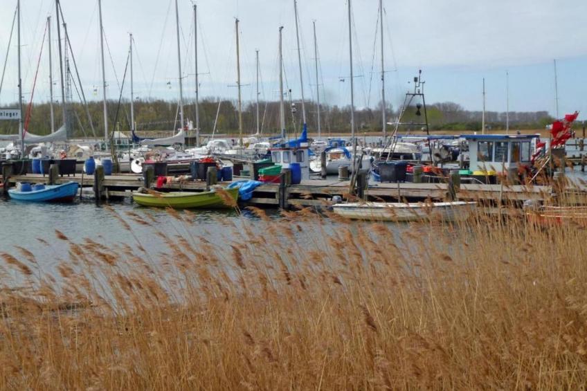 Altes Bauernhaus / Gartenblick - foto 37