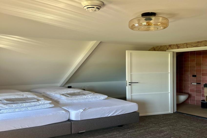 Groepsaccommodatie + 4 large greenhouses (36 personen) - foto 20