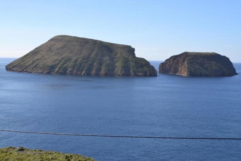 auf dem Land mit Meerblick - foto 34