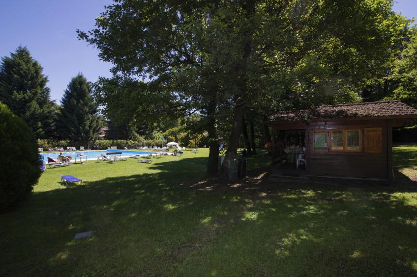 Rododendro Rosso - foto 33