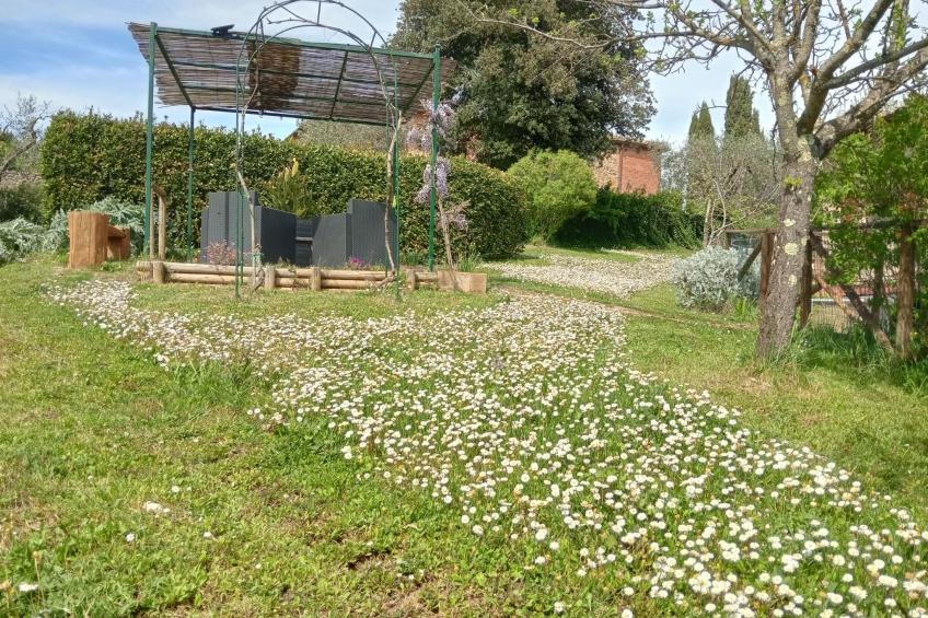 Marias Bauernhof - foto 11