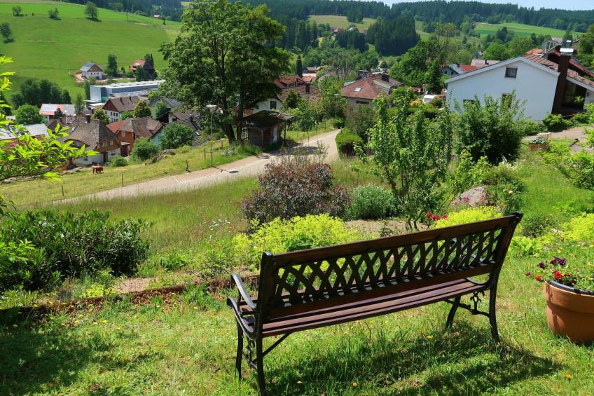 Blackforestbirdnest - foto 8