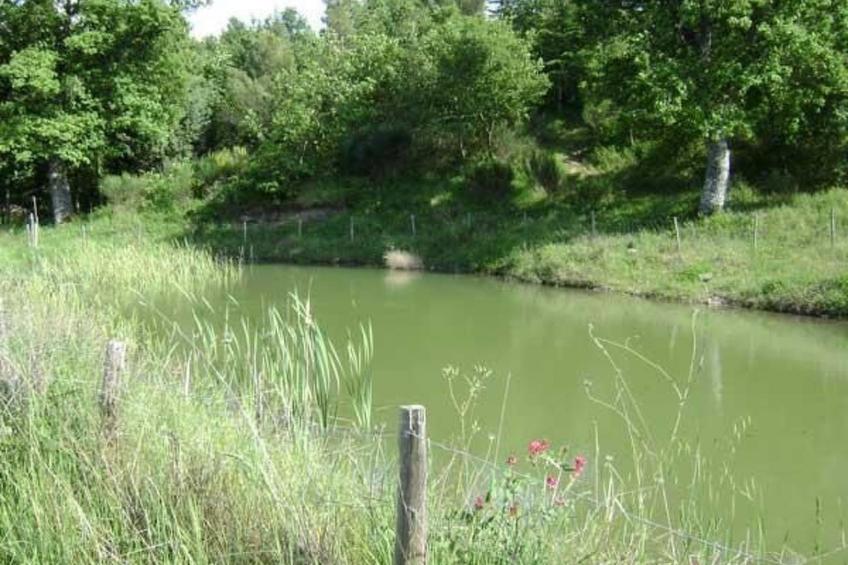 Casa Letizia mit toller Aussicht - foto 24