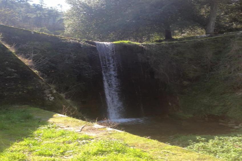 Piccola Margherita - foto 29