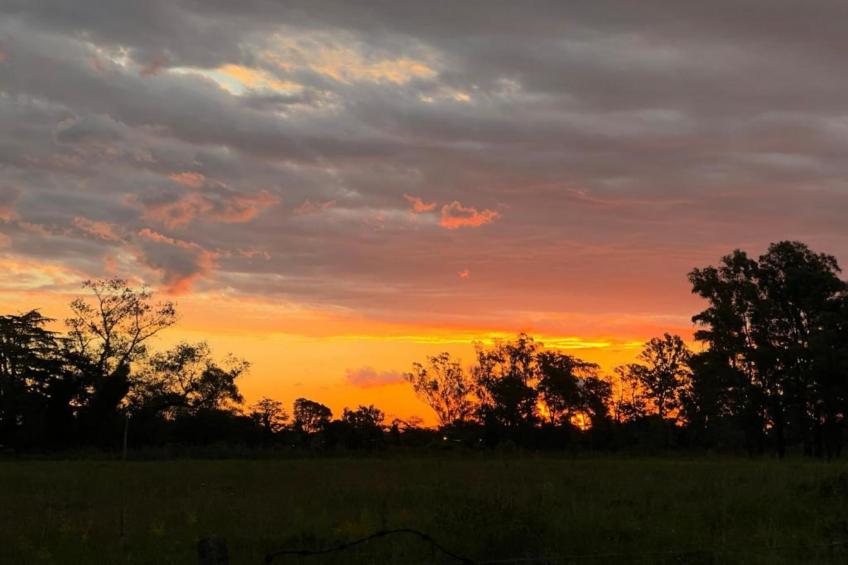 Domaine de Fontenelles - foto 39