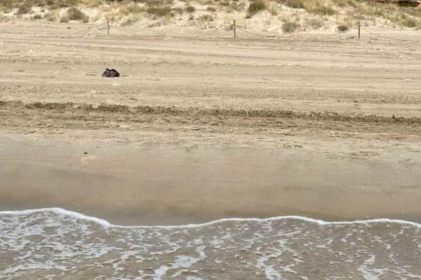 Villa Grao Benicasim REF 026