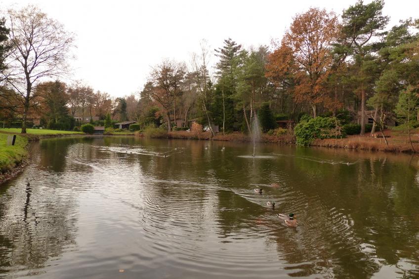 Parc de Kievit 24 - foto 24