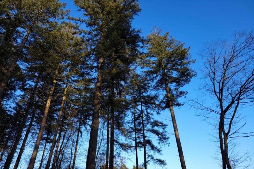 Buitenplaats Holten 8 - foto 32