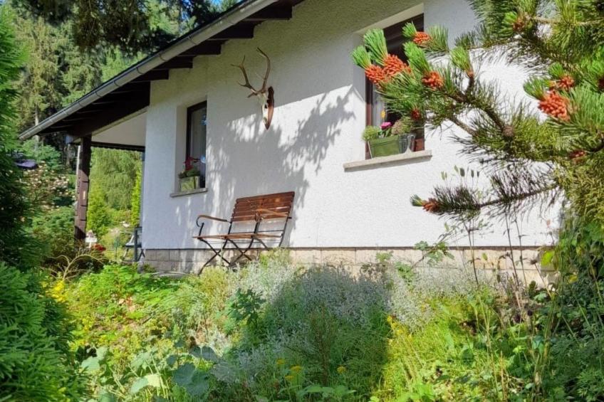 Am Wald gelegenes Ferienhaus "Wolf" mit Kamin - foto 4