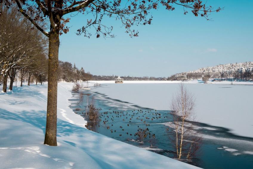 Fewo Hoppenhof 2 - foto 26