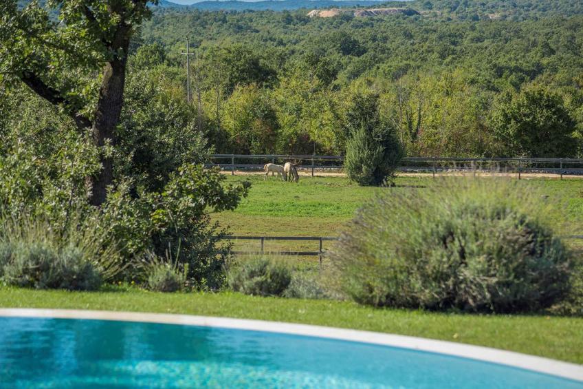 Villa in een idyllische omgeving, met zwembad - BF-DZHHZ - foto 31