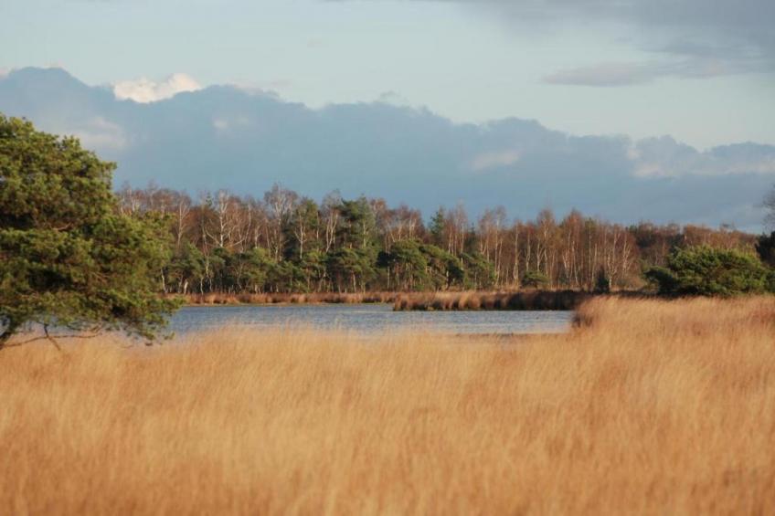 Vakantiepark Latour 2 - foto 37