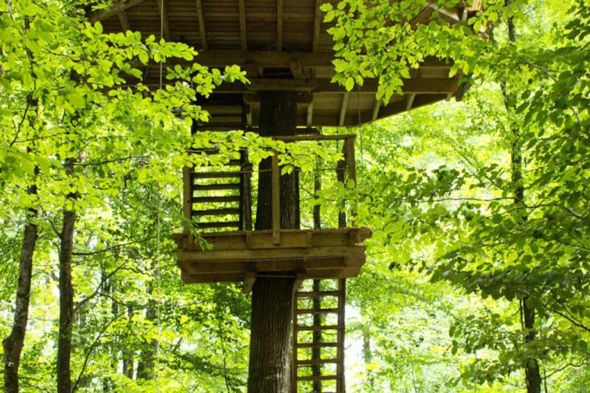 Parc de la Belle - foto 17