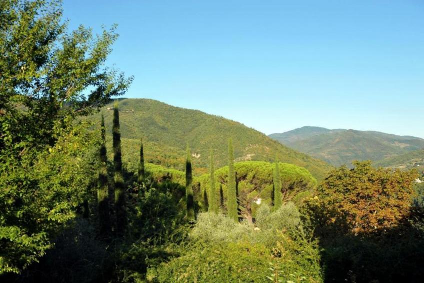 Il Ciliegio - foto 28