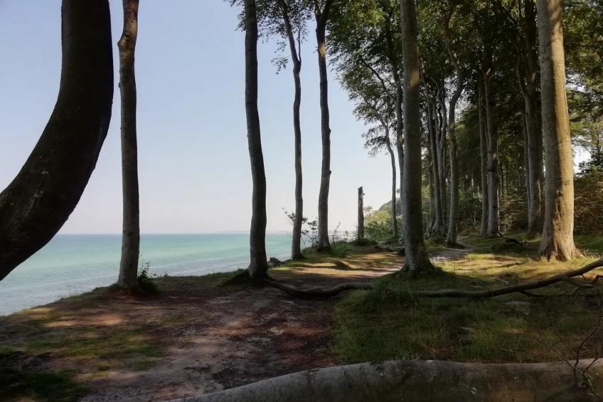 Harderhof 1 - foto 21