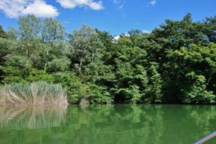 Essiccatoio Bianco - foto 33