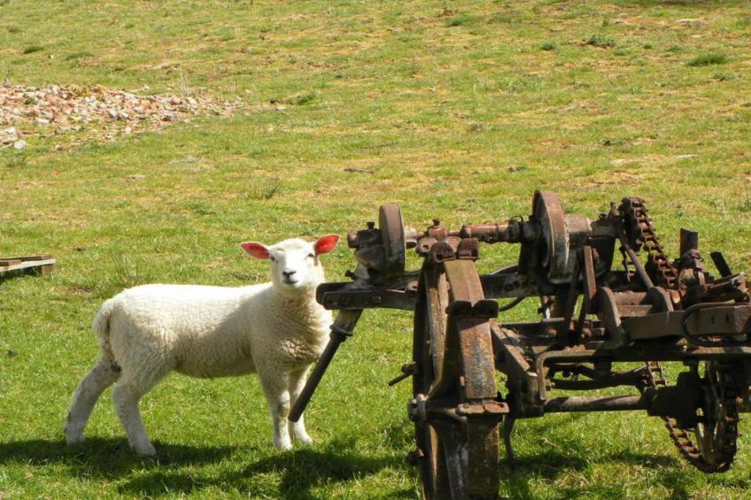 Swaledale Hall Cottage - foto 23