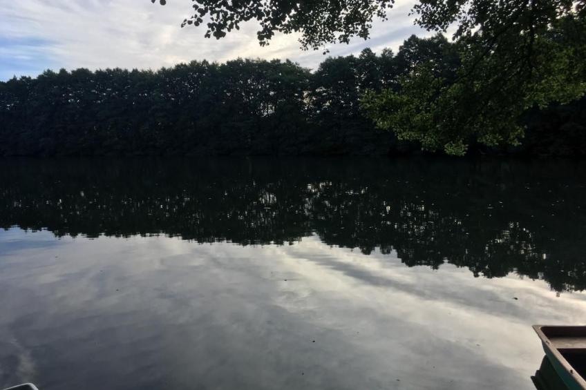 Bungalow Mecklenburgische Seenplatte - foto 15