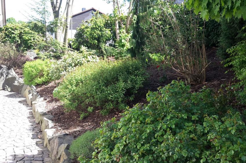 für sieben Personen - foto 8