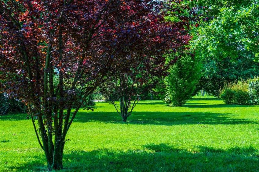Wohnung "Erica" auf einem Bauernhof - foto 7