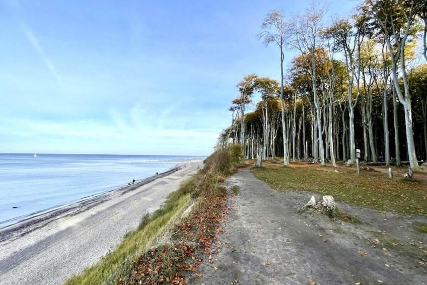 637779 - foto 25