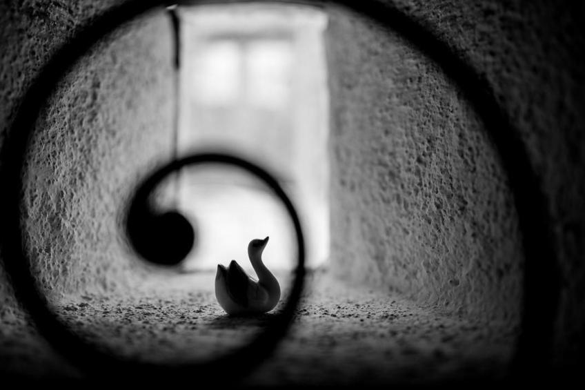 'Capanne 2 - foto 12