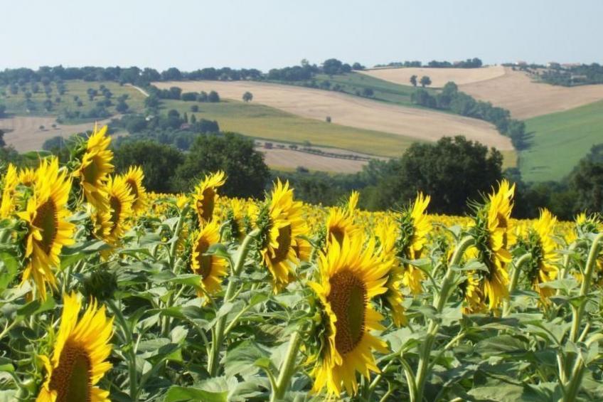 Wohnung mit Gemeinschaftsgarten und Pool - foto 4