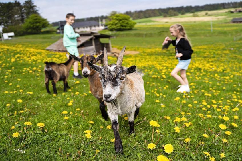 Hotel,double room incl.linen - foto 7